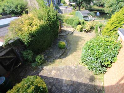 Picture 11